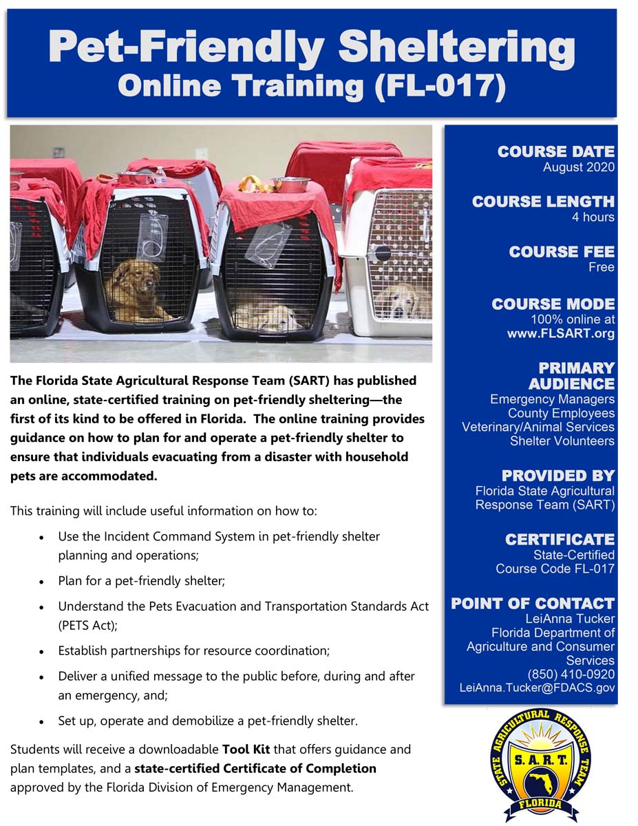 Course Flyer